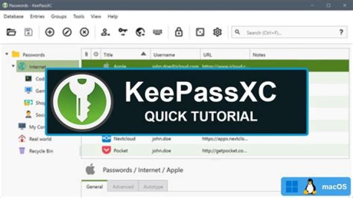How do I use KeePassXC as an SSH agent?