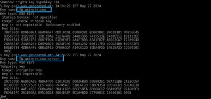 How do I use SSH to connect to a device on a switch?