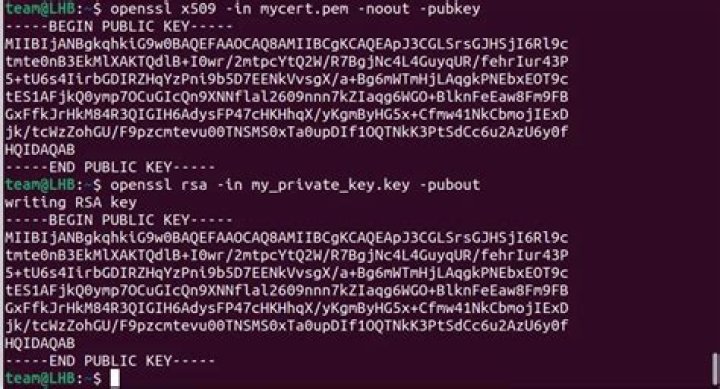 How do I use the openssl command to decode a public key .PEM file?