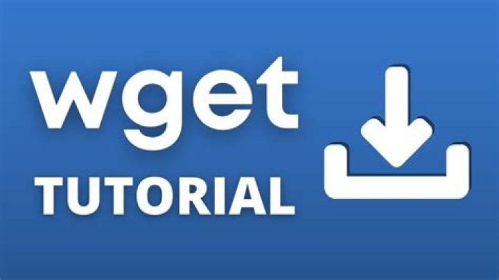 How do I use wget to download from this website?