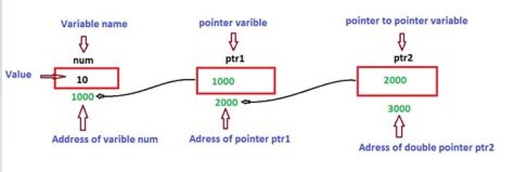 How do pointer-to-pointers work in C? (and when might you use them?)
