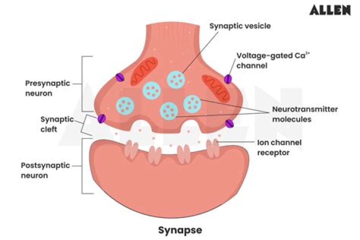 How do you add the snap store to Synaptic?