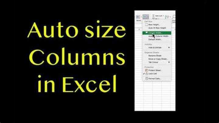 How do you auto resize cells in Excel? [duplicate]
