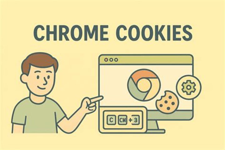 How do you check cookies using Chrome?