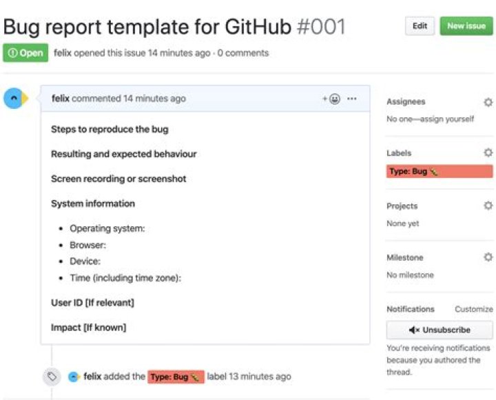 How do you file a bug report for Windows?