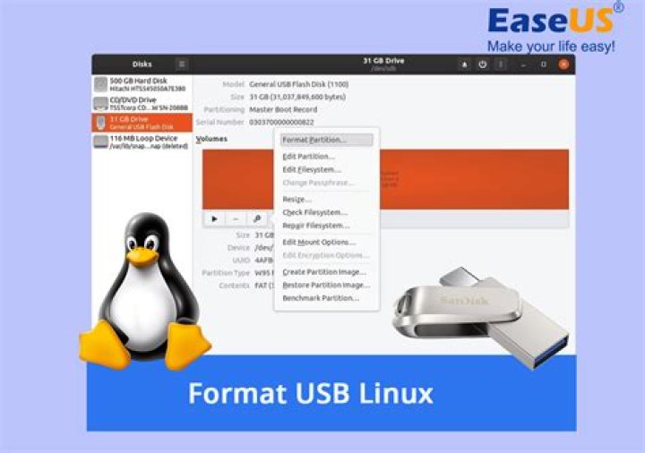 how do you format a usb stick in ubuntu server