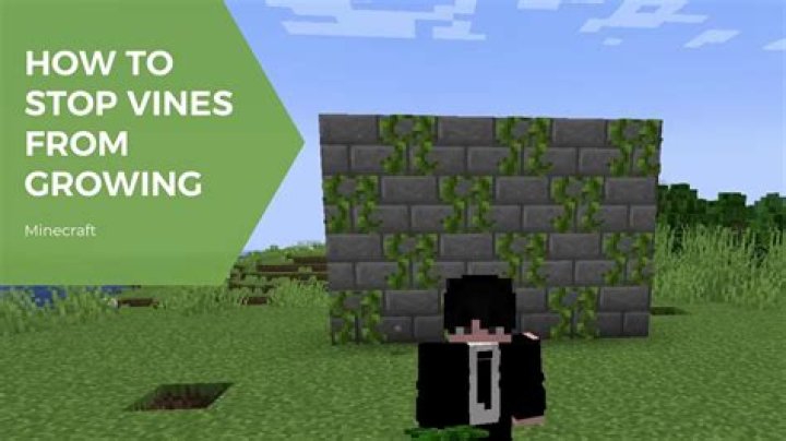 How do you stop vines from spreading?
