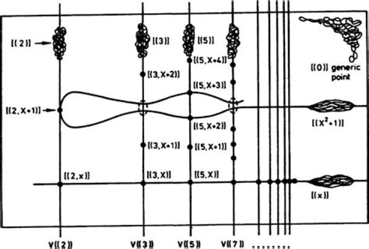 How does (21) factor into prime ideals in the ring $\mathbb{Z}[\sqrt{-5}]$?