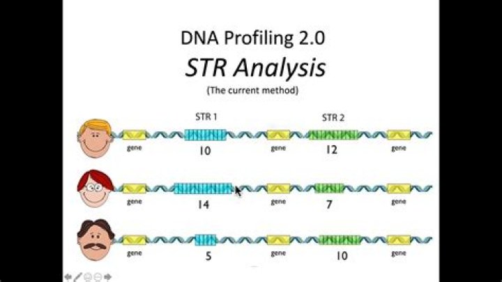 How does str(list) work?