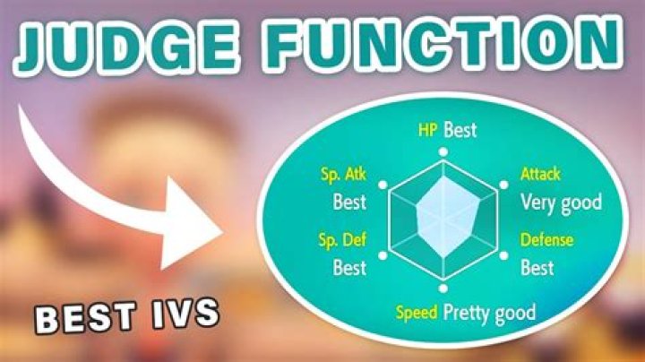 How does the judge function work?