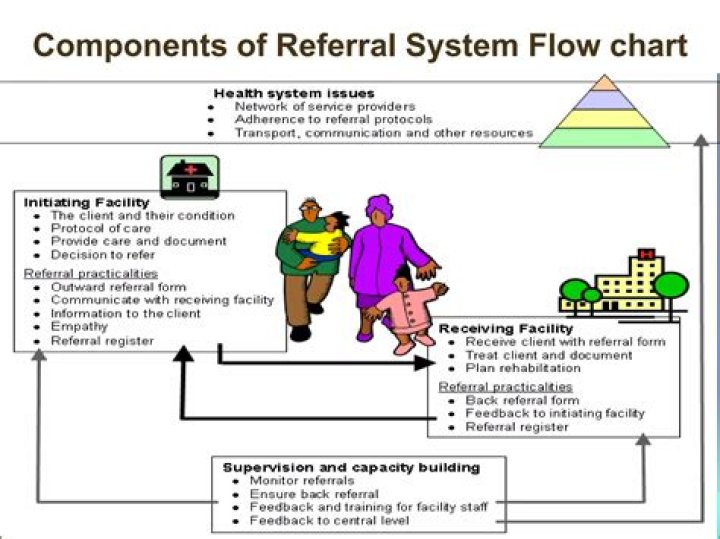 How does the referral system work?