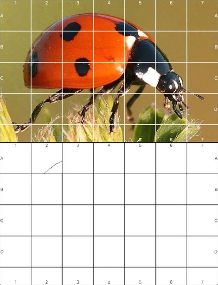 How many solutions are there if you draw 14 Crosses in a 6x6 Grid?