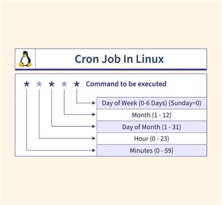 How many times will a cron job run when given asterisk (*) on all positions?