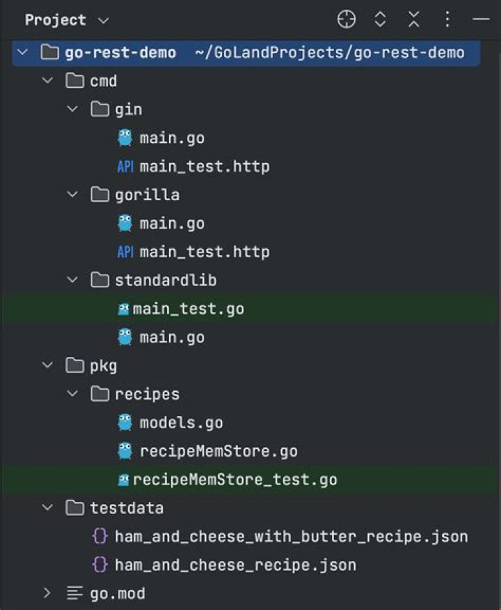 how set middleware gorillas/csrf in framework gin from Go