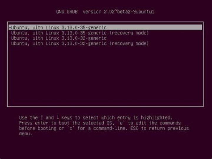 How to access Advanced Options in GRUB?