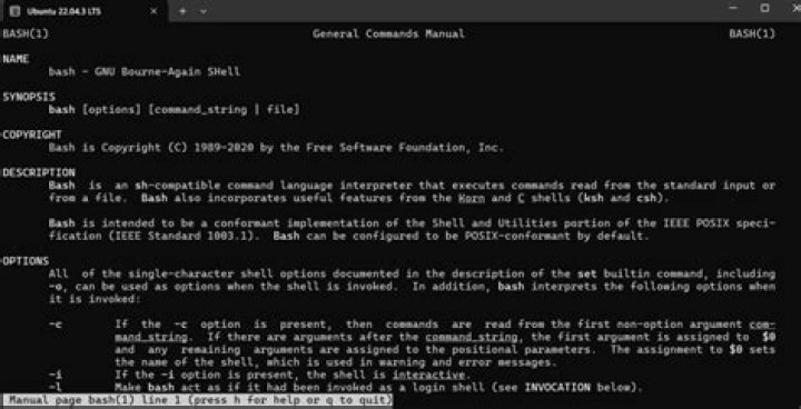 How to access bash without a terminal emulator?