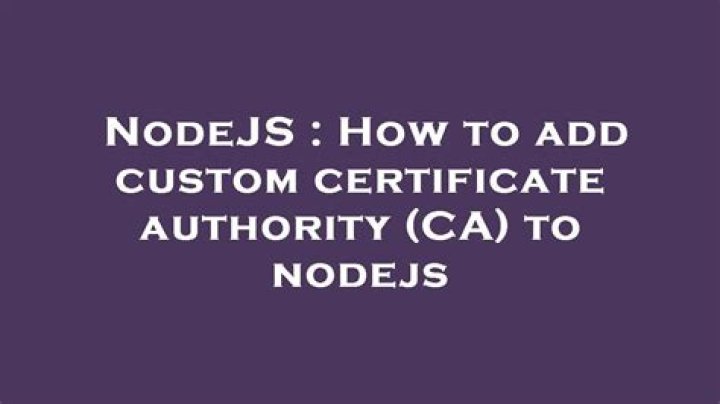 How to add custom certificate authority (CA) to nodejs