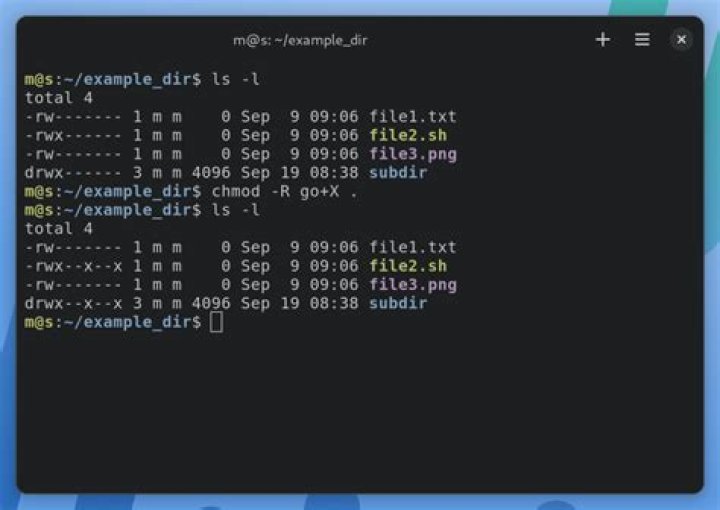 How to add +x just for user with chmod?