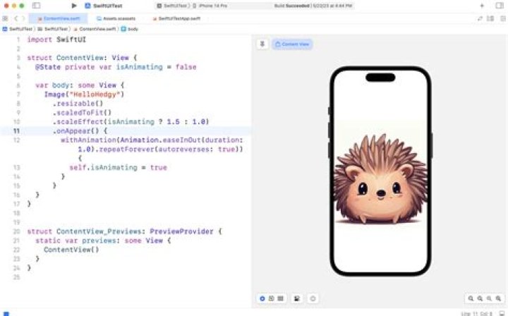 How to animate images in SwiftUI, to play a frame animation