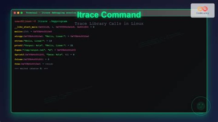 How to call an equivalent command to strace on mac -- ideally from python?