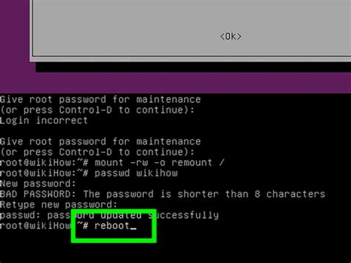 How to change the root directory for a Linux user?