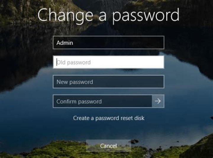 How to change Windows password without changing Microsoft Account password?