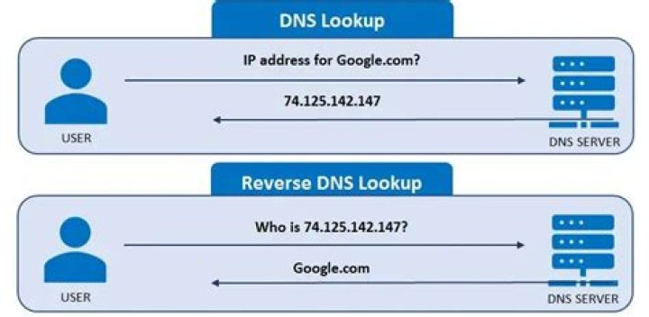 How to check a bulk of ip for reverse dns?