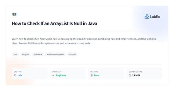 How to check if an int is a null