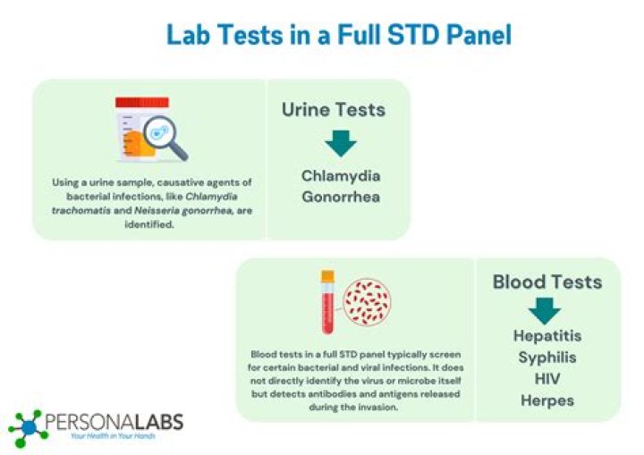How to check that an element is in a std::set?