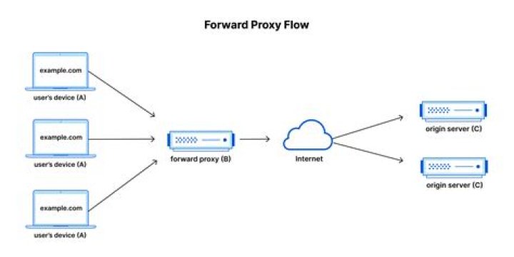 How to configure istio (or envoy) to act as a forward proxy