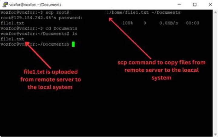 How to copy a file from remote server to local machine? [closed]