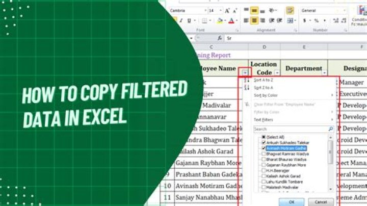 How to copy filtered data in new excel file