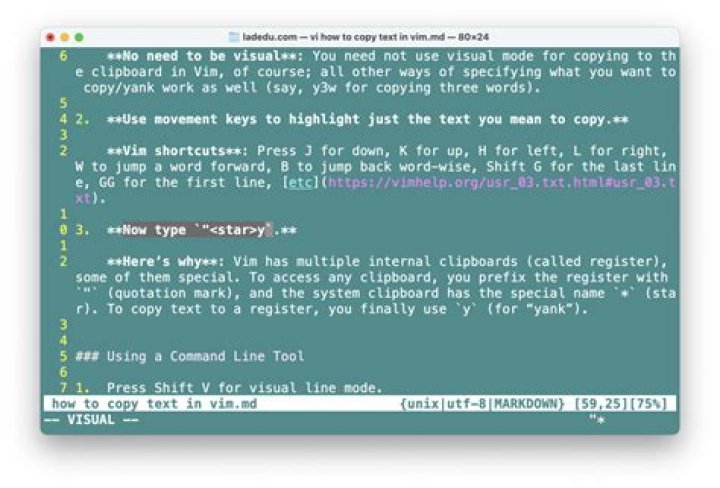 How to copy from vim to clipboard on ubuntu 20.04