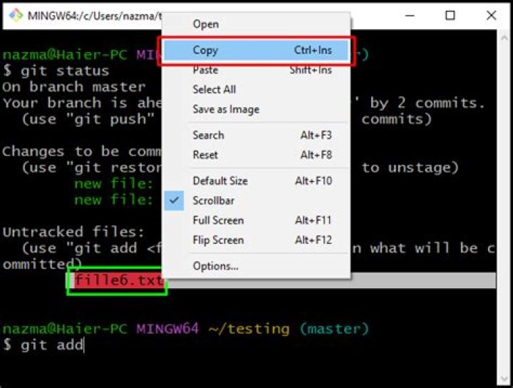 How to copy/paste tab characters via the Clipboard into terminal session on gnome / ubuntu