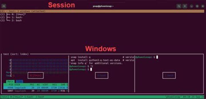 How to create a tmux session with two windows with specific name and run specific scripts in each window?