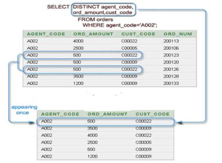 How to create new table from a distinct table in sql? [duplicate]