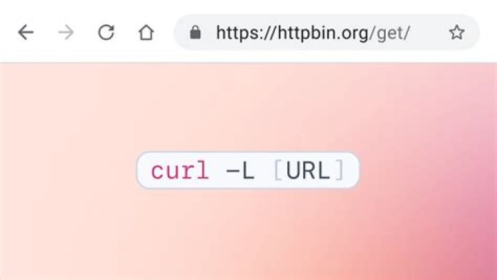 How to define the basic HTTP authentication using cURL correctly?