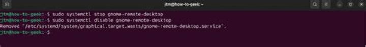 How to delete/disable GNOME panels? (Existing solutions not working.)