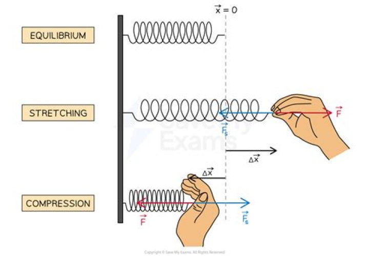How to derive the equilibrium length of a spring?