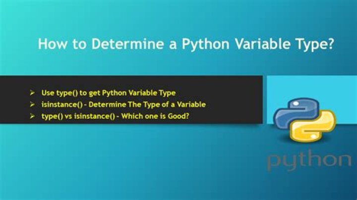 How to determine a Python variable's type?