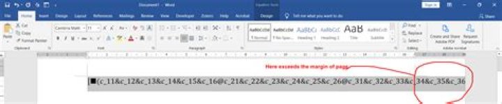 How to edit the long equation in the linear format of MS word?