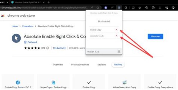 How to enable access to websites [duplicate]