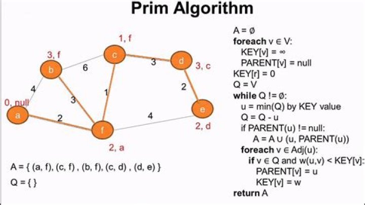 How to find a Minimum Spanning Tree with a given set of coordinates from an input file using Prim's Algorithm?