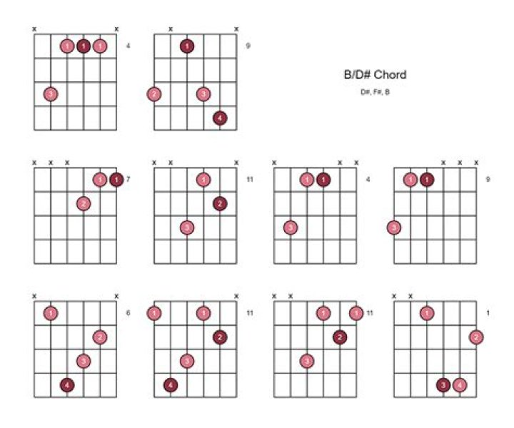 How to find Chord BD in diagram below?