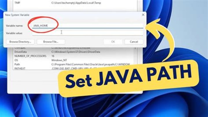 How to find path to java?