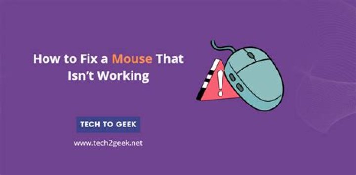 How to fix my mouse?