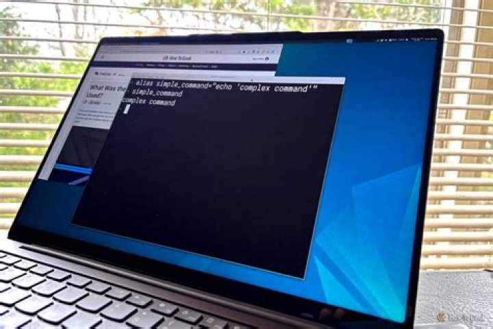 How to fix the terminal and Linux files for error 20 on a chromebook