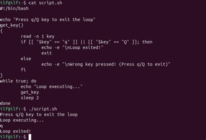 How to force quit out of an infinite loop in a bash script gracefully