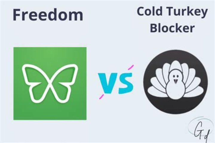 How to get rid of Cold Turkey (website-blocker) / get around the block?
