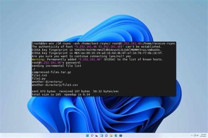 How to get rsync to synchronize only new blocks for blockchain